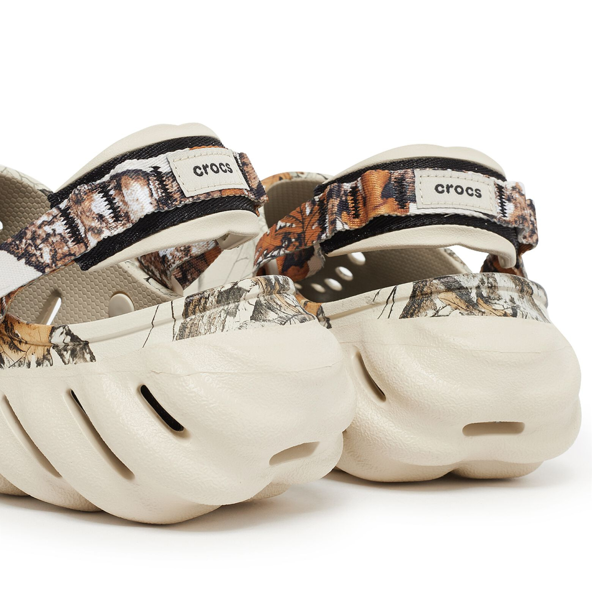 echoclogrealtreebone 6