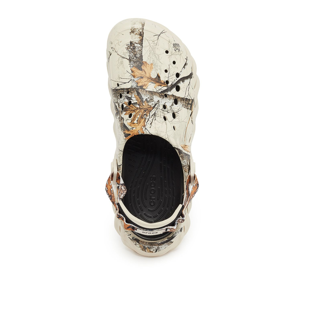 echoclogrealtreebone 7