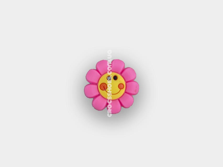 crocs jibbits 41 001